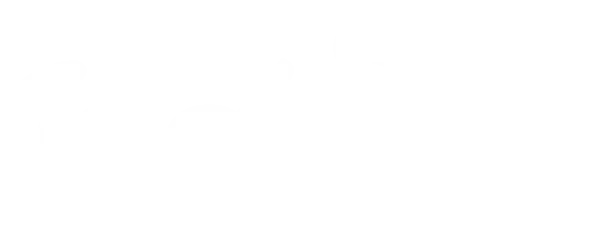 Logo de La Artesana